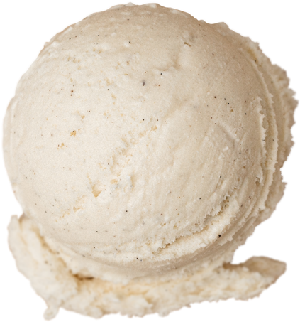 Vanilla Bean ice cream 