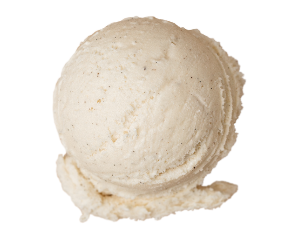 Vanilla Bean